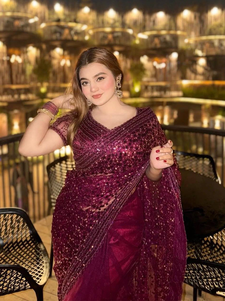 Wine Net Sequins Wedding Party Festival Cocktail Fancy Heavy Border Saree