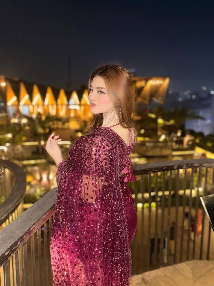 Wine Net Sequins Wedding Party Festival Cocktail Fancy Heavy Border Saree