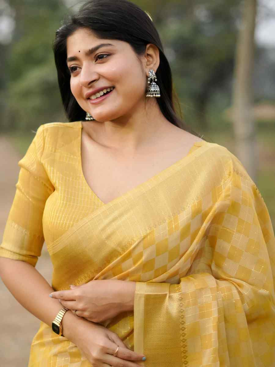 Yellow Soft Kalyani Silk Zari Handwoven Festival Wedding Fancy Heavy Border Saree